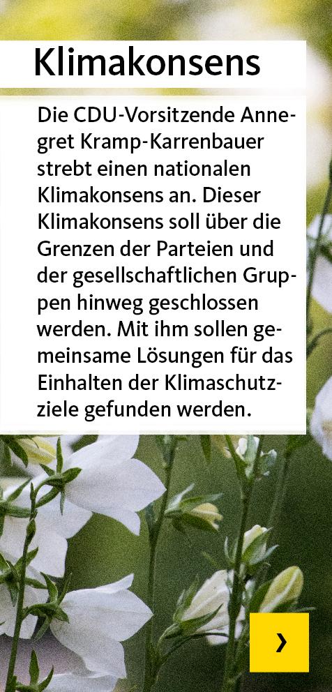 Klimakonsens
