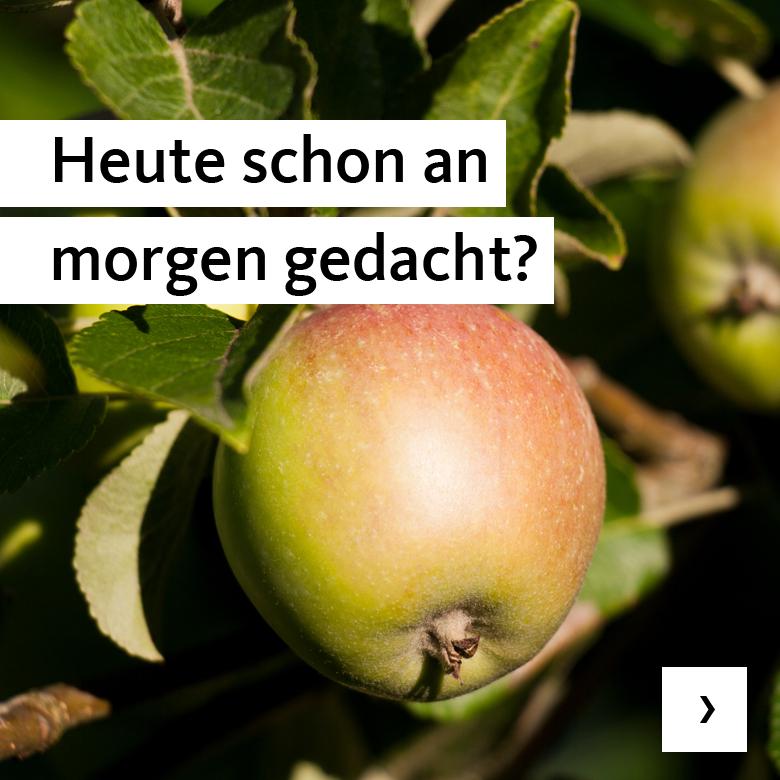 Apfel