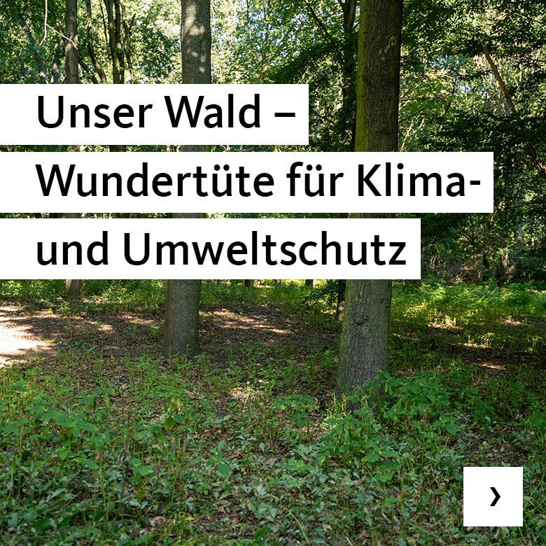 Wald