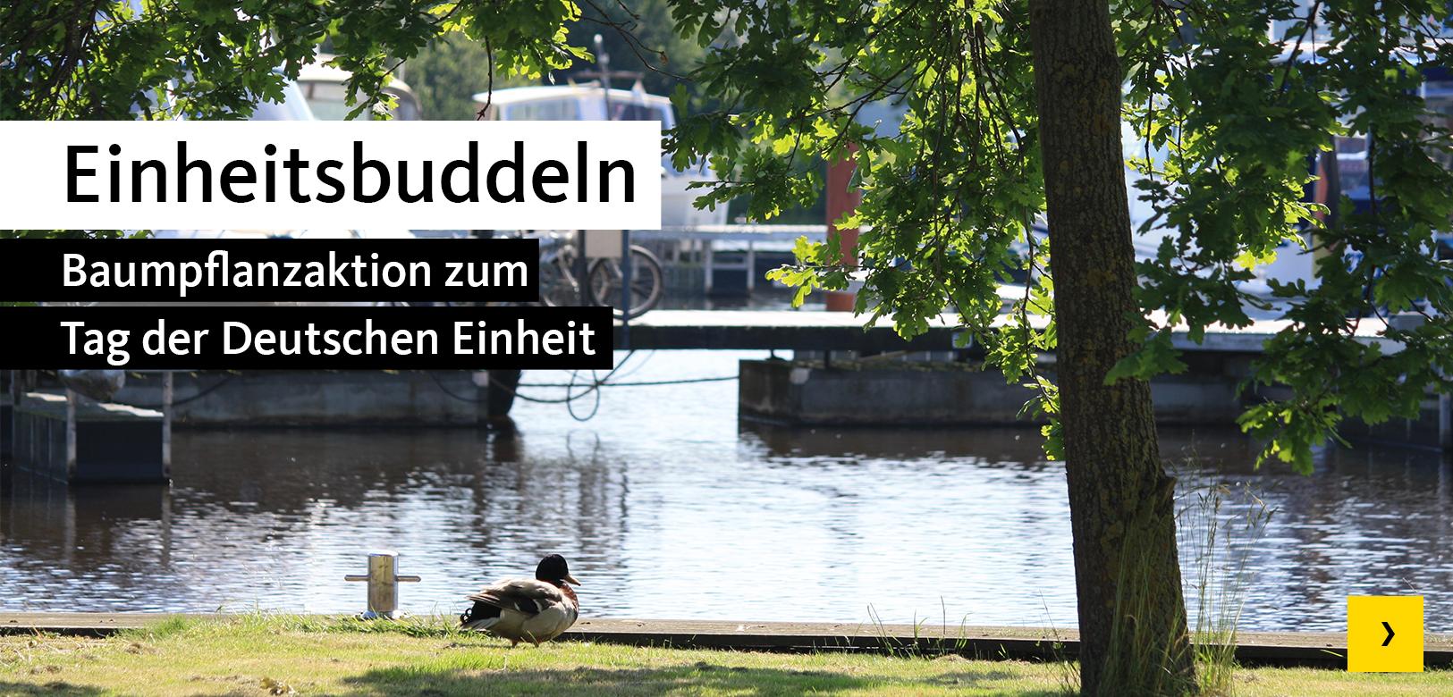 Baumpflanzaktion zum Tag der Deutschen Einheit